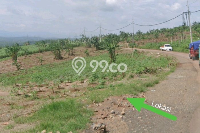Lahan Dijual Lokasi Tulis, Batang dengan Luas Tanah 100000m2 dan Status Hak Pakai Lahan Dijual Lokasi Tulis, Batang dengan Luas Tanah 100000m2 dan Status Hak Pakai