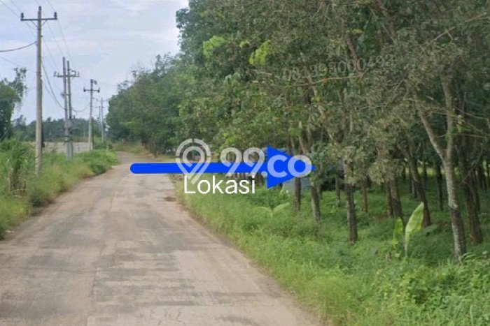 Kavling Tanah di Gringsing Dijual Luas 25000m2 Legalitas SHM Kavling Tanah di Gringsing Dijual Luas 25000m2 Legalitas SHM