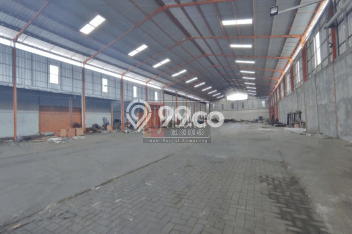 Disewakan Gudang Bisnis di Semarang Barat Semarang Harga Sewa Menarik Bisa Nego Disewakan Gudang Bisnis di Semarang Barat Semarang Harga Sewa Menarik Bisa Nego