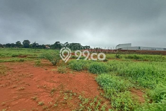 Untuk Dijual Tanah di Tulis Batang Luas 20000m2 - Untuk Dijual Tanah di Tulis Batang Luas 20000m2 -