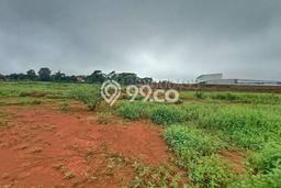 Untuk Dijual Tanah di Tulis Batang Luas 20000m2 - Untuk Dijual Tanah di Tulis Batang Luas 20000m2 -