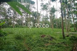 Kavling Tanah Dijual di Ampel Boyolali Spesifikasi 100000m2 Kavling Tanah Dijual di Ampel Boyolali Spesifikasi 100000m2
