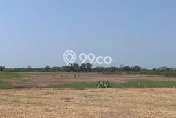 Kavling Tanah Dijual di Kaliwungu, Kendal, Luas 9505m2 Area Strategis Kavling Tanah Dijual di Kaliwungu, Kendal, Luas 9505m2 Area Strategis