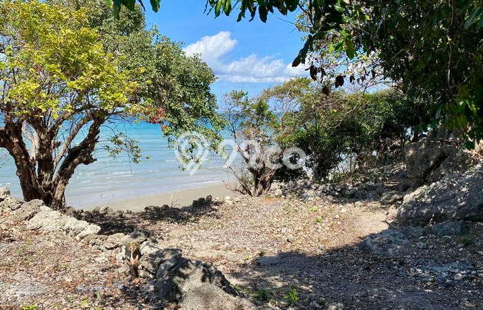 Kavling Tanah Dijual di Pantai Baru Rote Ndao Spesifikasi 8702m2 Kavling Tanah Dijual di Pantai Baru Rote Ndao Spesifikasi 8702m2
