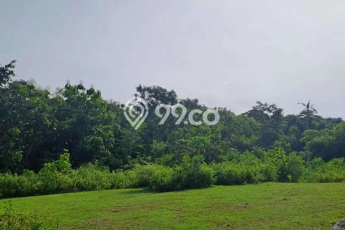 Tanah Dijual di Badung Seluas 997m2 Strategis Tanah Dijual di Badung Seluas 997m2 Strategis