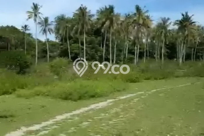 Lahan Dijual Lokasi Strategis di Lombok Barat dengan Luas 21917m2 Lahan Dijual Lokasi Strategis di Lombok Barat dengan Luas 21917m2