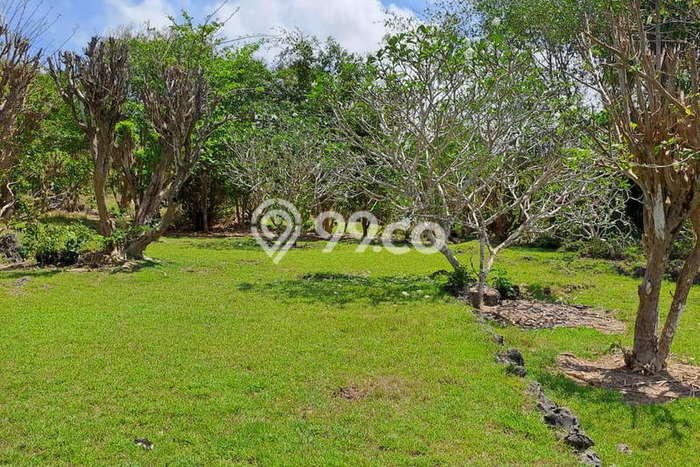 Tanah Siap Bangun Dijual di Badung Punya Luas 27900m2 Tanah Siap Bangun Dijual di Badung Punya Luas 27900m2