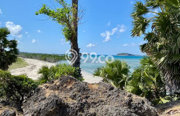 Kavling Tanah Dijual di Pantai Baru Rote Ndao Spesifikasi 8702m2 Kavling Tanah Dijual di Pantai Baru Rote Ndao Spesifikasi 8702m2
