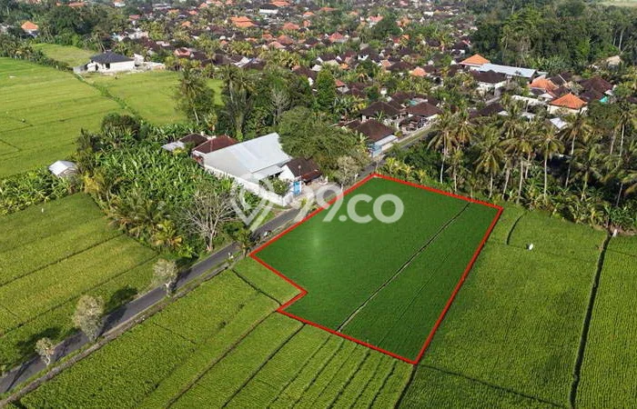 Tanah Disewa di Kaba kaba Strategis dan Memiliki Luas 1650m2 Tanah Disewa di Kaba kaba Strategis dan Memiliki Luas 1650m2