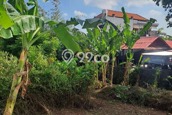 Tanah Dijual Area Strategis di Seminyak Badung 540m2 Tanah Dijual Area Strategis di Seminyak Badung 540m2