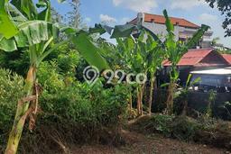 Tanah Dijual Area Strategis di Seminyak Badung 540m2 Tanah Dijual Area Strategis di Seminyak Badung 540m2