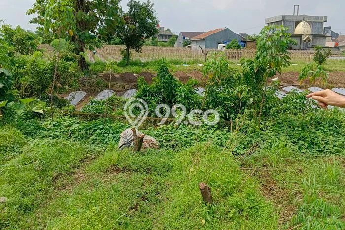 Lahan Dijual Lokasi Dramaga, Bogor dengan Luas Tanah 10571m2 dan Status SHM Lahan Dijual Lokasi Dramaga, Bogor dengan Luas Tanah 10571m2 dan Status SHM