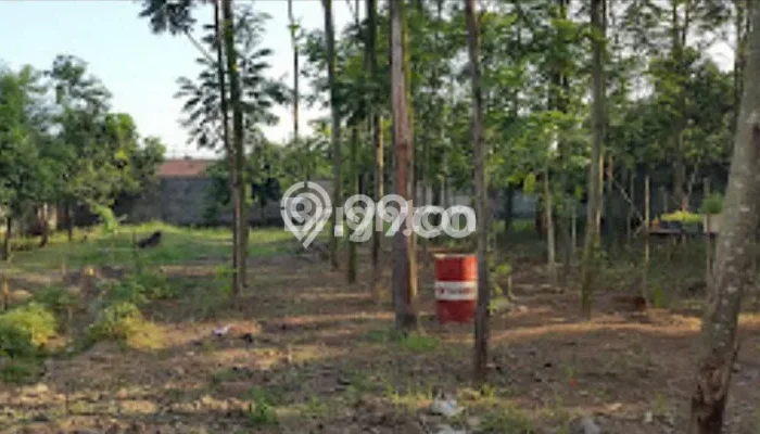 Lahan Dijual Lokasi Krian, Sidoarjo dengan Luas Tanah 2750m2 dan Status SHM Lahan Dijual Lokasi Krian, Sidoarjo dengan Luas Tanah 2750m2 dan Status SHM