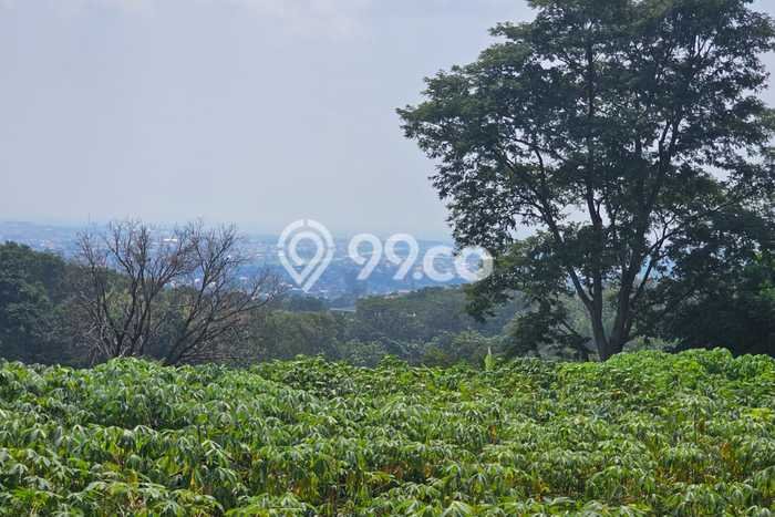 Dijual Tanah Kawasan Jangli, Luas 13945m², Dekat Jangli, Semarang, Semarang Dijual Tanah Kawasan Jangli, Luas 13945m², Dekat Jangli, Semarang, Semarang