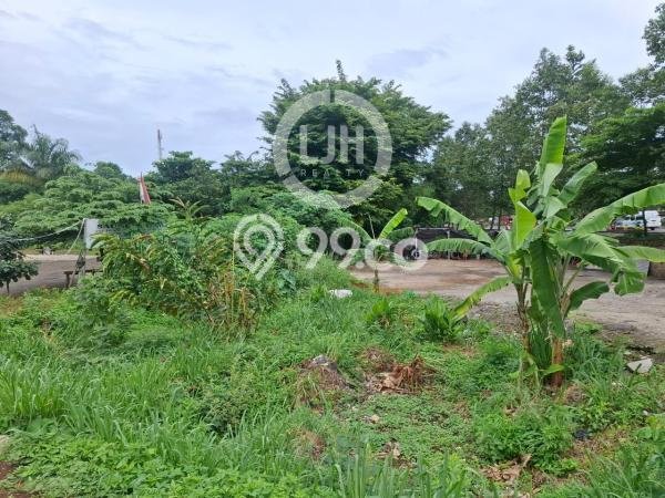 Jarang Ada! Tanah di Babakan Madang Punya Luas 14000m2 SHM Jarang Ada! Tanah di Babakan Madang Punya Luas 14000m2 SHM