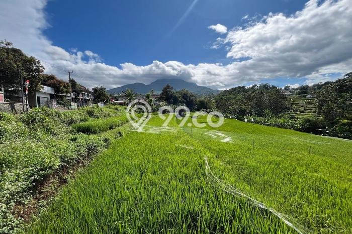 Tanah Kavling Dijual di Ujungberung, Bandung dengan Luas Tanah 6732m2 Tanah Kavling Dijual di Ujungberung, Bandung dengan Luas Tanah 6732m2