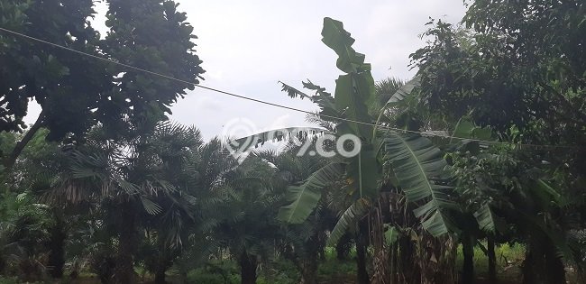 Lahan Strategis di Pondok Aren Dijual dengan Luas 6650m2 Lahan Strategis di Pondok Aren Dijual dengan Luas 6650m2