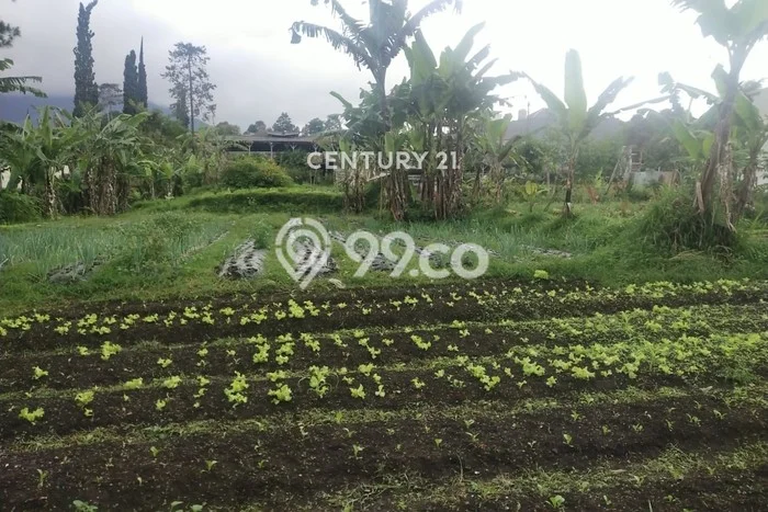 Tanah Kavling di Cisarua Dijual dengan Luas 10285m2 Tanah Kavling di Cisarua Dijual dengan Luas 10285m2