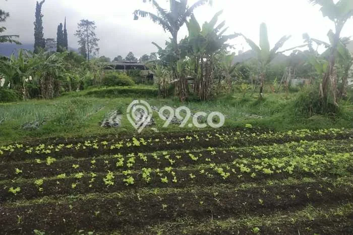 Tanah Kavling di Cisarua Dijual dengan Luas 10285m2 Tanah Kavling di Cisarua Dijual dengan Luas 10285m2