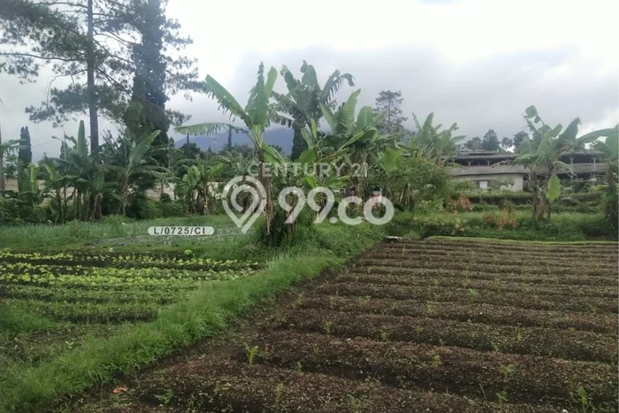 Tanah Kavling di Cisarua Dijual dengan Luas 10285m2 Tanah Kavling di Cisarua Dijual dengan Luas 10285m2