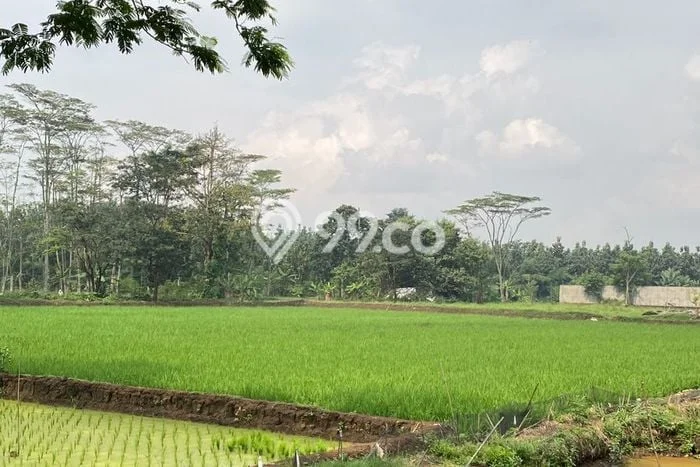 Kavling Tanah Dijual di Baleendah, Bandung, Luas 20000m2 Area Strategis Kavling Tanah Dijual di Baleendah, Bandung, Luas 20000m2 Area Strategis