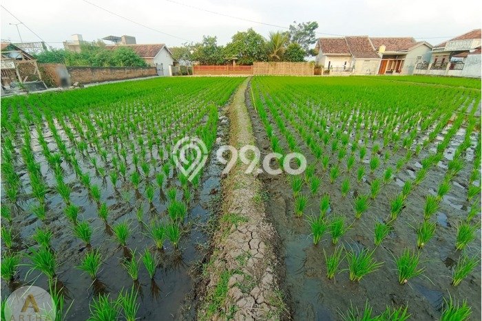 Kavling Tanah di Soreang Dijual Luas 1307m2 Legalitas SHM Kavling Tanah di Soreang Dijual Luas 1307m2 Legalitas SHM
