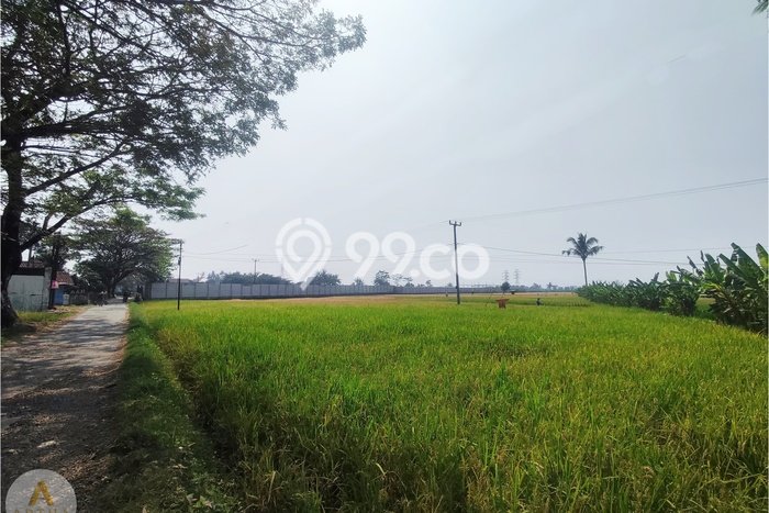 Lahan Kosong Dijual di Sukaluyu, Cianjur, Luas 13000m2 Area Strategis Lahan Kosong Dijual di Sukaluyu, Cianjur, Luas 13000m2 Area Strategis