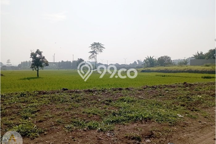 Jarang Ada! Tanah di Soreang Punya Luas 25000m2 SHM Jarang Ada! Tanah di Soreang Punya Luas 25000m2 SHM