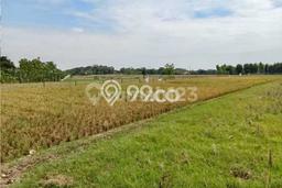 Kavling Tanah Dijual di Subang, Subang, Luas 3e+06m2 Area Strategis Kavling Tanah Dijual di Subang, Subang, Luas 3e+06m2 Area Strategis