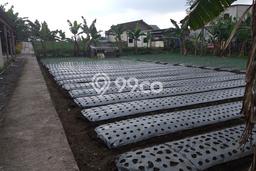 Dijual Tanah di Tawangmangu Solo Luas 800m2 SHM Dijual Tanah di Tawangmangu Solo Luas 800m2 SHM