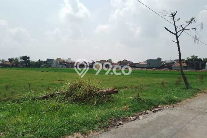 Kavling Tanah Disewakan di Colomadu Solo Luas 2679m2 Strategis Kavling Tanah Disewakan di Colomadu Solo Luas 2679m2 Strategis