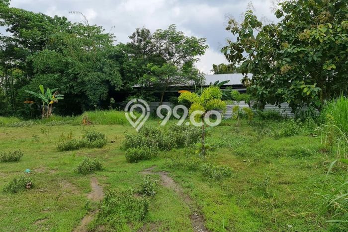 AREA PROSPEKTIF! Tanah di Gondangrejo, Luas 1030m², Dekat Fasilitas Umum AREA PROSPEKTIF! Tanah di Gondangrejo, Luas 1030m², Dekat Fasilitas Umum