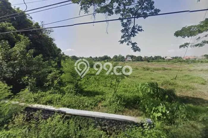 Tanah Dijual Lokasi Wonosari, Klaten Luas 1952m2 Legalitas Aman Tanah Dijual Lokasi Wonosari, Klaten Luas 1952m2 Legalitas Aman