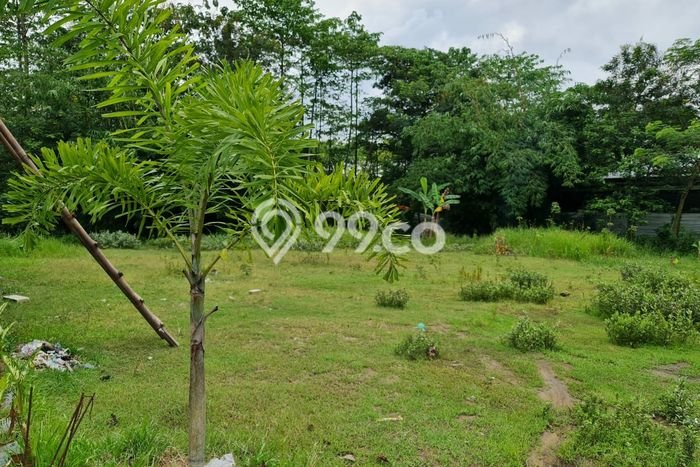 AREA PROSPEKTIF! Tanah di Gondangrejo, Luas 1030m², Dekat Fasilitas Umum AREA PROSPEKTIF! Tanah di Gondangrejo, Luas 1030m², Dekat Fasilitas Umum