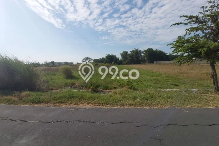 HARGA TERBAIK! Tanah di Wonosari, Luas 3155m², Jalur Mudah, Area Berkembang HARGA TERBAIK! Tanah di Wonosari, Luas 3155m², Jalur Mudah, Area Berkembang