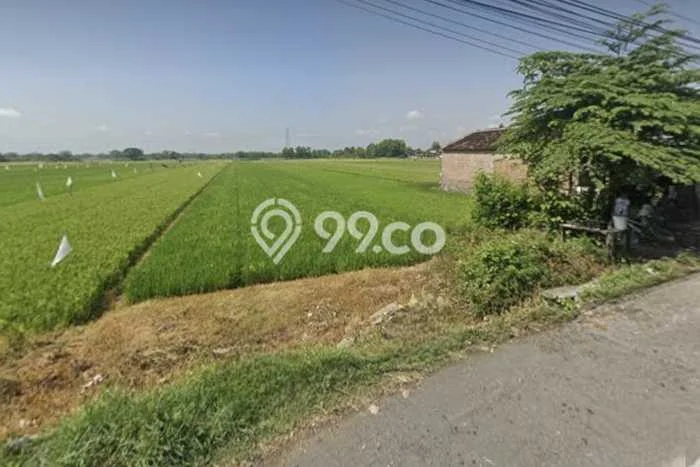 Tanah Kavling di Wonosari Dijual dengan Luas 2226m2 Tanah Kavling di Wonosari Dijual dengan Luas 2226m2