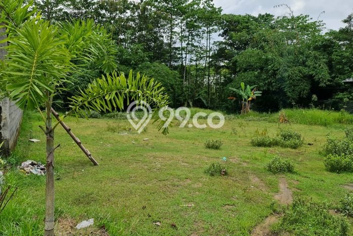 AREA PROSPEKTIF! Tanah di Gondangrejo, Luas 1030m², Dekat Fasilitas Umum AREA PROSPEKTIF! Tanah di Gondangrejo, Luas 1030m², Dekat Fasilitas Umum