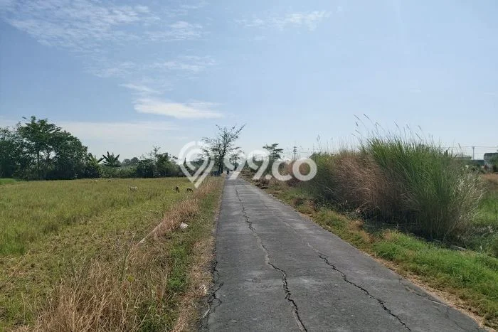 HARGA TERBAIK! Tanah di Wonosari, Luas 3155m², Jalur Mudah, Area Berkembang HARGA TERBAIK! Tanah di Wonosari, Luas 3155m², Jalur Mudah, Area Berkembang