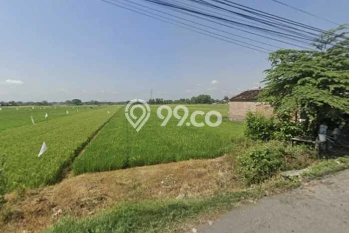 Tanah Kavling di Wonosari Dijual dengan Luas 2226m2 Tanah Kavling di Wonosari Dijual dengan Luas 2226m2
