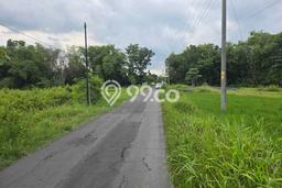 Untuk Dijual Tanah di Banyudono Boyolali Luas 591m2 - Untuk Dijual Tanah di Banyudono Boyolali Luas 591m2 -