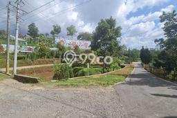 Tanah Dijual Lokasi Ngargoyoso, Karanganyar dengan Luas Tanah 1310m2 dan Status SHM Tanah Dijual Lokasi Ngargoyoso, Karanganyar dengan Luas Tanah 1310m2 dan Status SHM