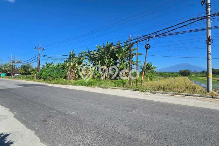 Tanah Kavling untuk Dijual di Banyudono Boyolali 4778m2 Tanah Kavling untuk Dijual di Banyudono Boyolali 4778m2