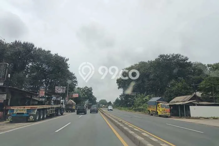 Untuk Dijual Tanah di Batang Batang Luas 65000m2 - Untuk Dijual Tanah di Batang Batang Luas 65000m2 -