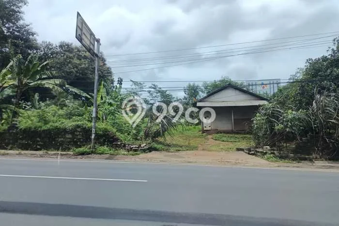 Untuk Dijual Tanah di Batang Batang Luas 65000m2 - Untuk Dijual Tanah di Batang Batang Luas 65000m2 -