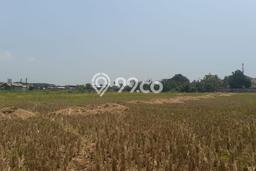 Kavling Tanah di Kronjo Dijual Luas 8230m2 Legalitas SHM Kavling Tanah di Kronjo Dijual Luas 8230m2 Legalitas SHM