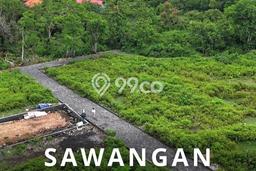 Tanah Investasi Dijual di Badung Punya Luas 306m2 Tanah Investasi Dijual di Badung Punya Luas 306m2