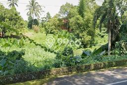 Lahan Kosong Dijual di Minahasa Utara dengan Area 40000m2 Lahan Kosong Dijual di Minahasa Utara dengan Area 40000m2