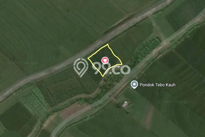 Untuk Dijual Tanah di Kerambitan Tabanan Luas 500m2 SHM Untuk Dijual Tanah di Kerambitan Tabanan Luas 500m2 SHM