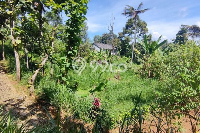 Tanah di Karanganyar, Luas 2330m2m², Lokasi Strategis, Lingkungan Asri Tanah di Karanganyar, Luas 2330m2m², Lokasi Strategis, Lingkungan Asri