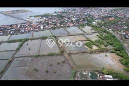 Tanah Kavling untuk Dijual di Panarukan Situbondo 39500m2 Tanah Kavling untuk Dijual di Panarukan Situbondo 39500m2